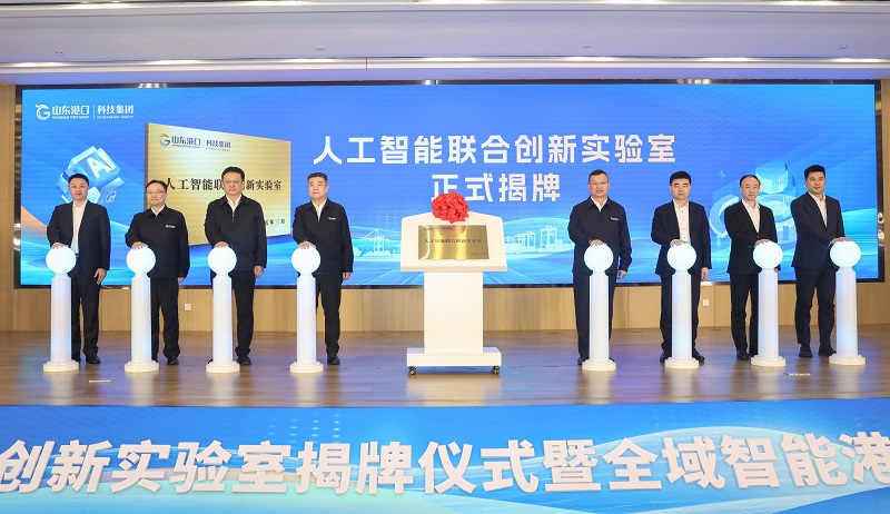 1742779225547542.jpg 800.jpg