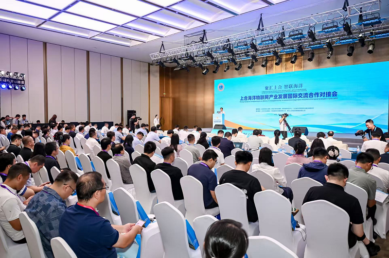 1753184587452229.png 800pic1.png